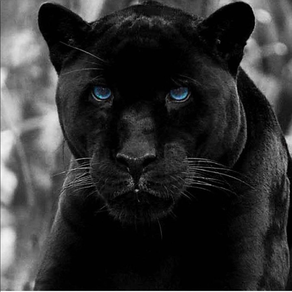 Meet your Posher, Feruza